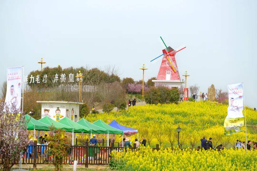 赏花何必远行？汉中那处“金色梦幻世界”藏着春天最美妙的光景~