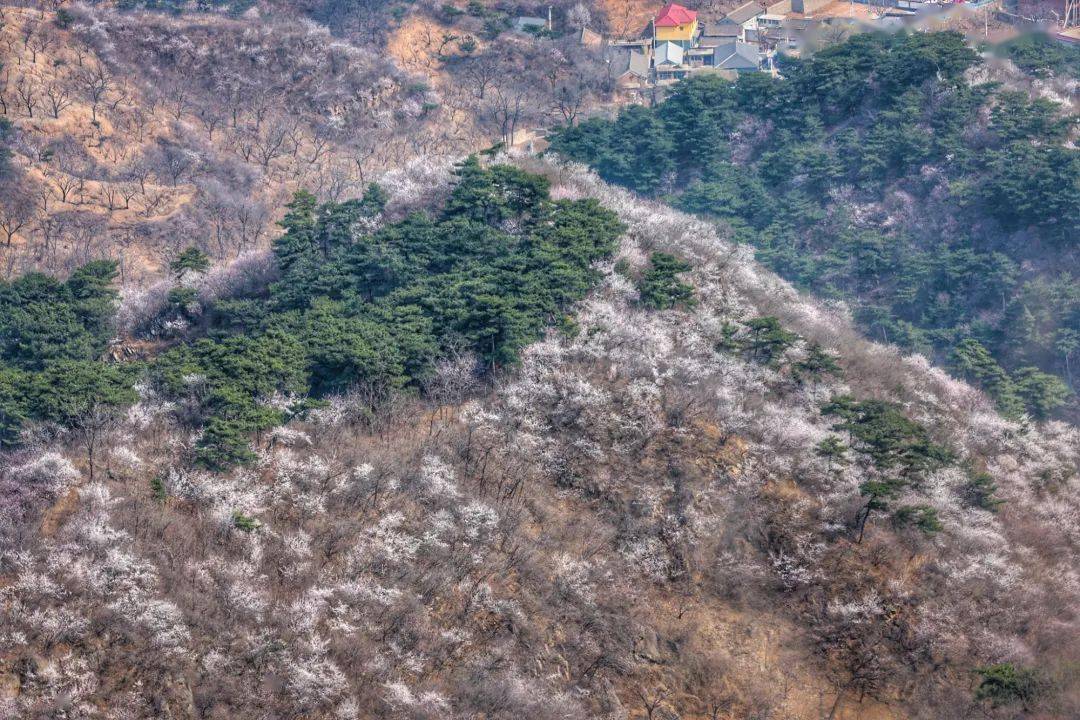 别找了！那届爱玩的年轻人已经不去寺庙了，都在……