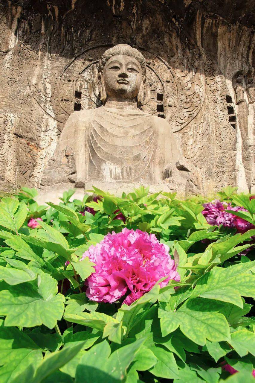 �й���һ�Ʋ���5A������Ƿծ4���ڣ���Ʊ���Ǽۣ���Ȫˮֻ ...