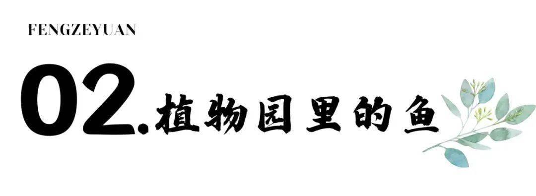 昆明“唤”新方案 | 来云南丰泽源动物园相逢梦幻莫奈花园