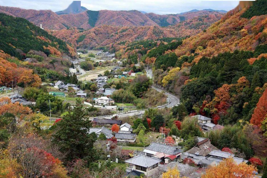 “从酒馆回家的路上，我成为了一名绘本做者。”