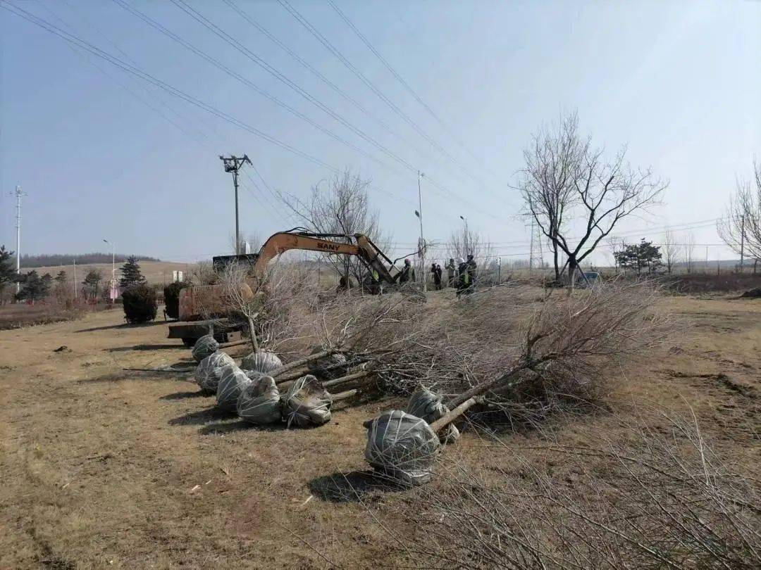 【绿美延吉 我们在行动】绿化提升及树木种植有序推进城市品位升