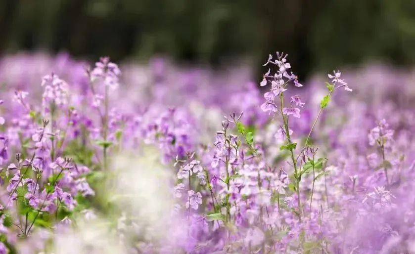 ���չ��ԣ�ʲô����˵TA ���һ����ۣ�