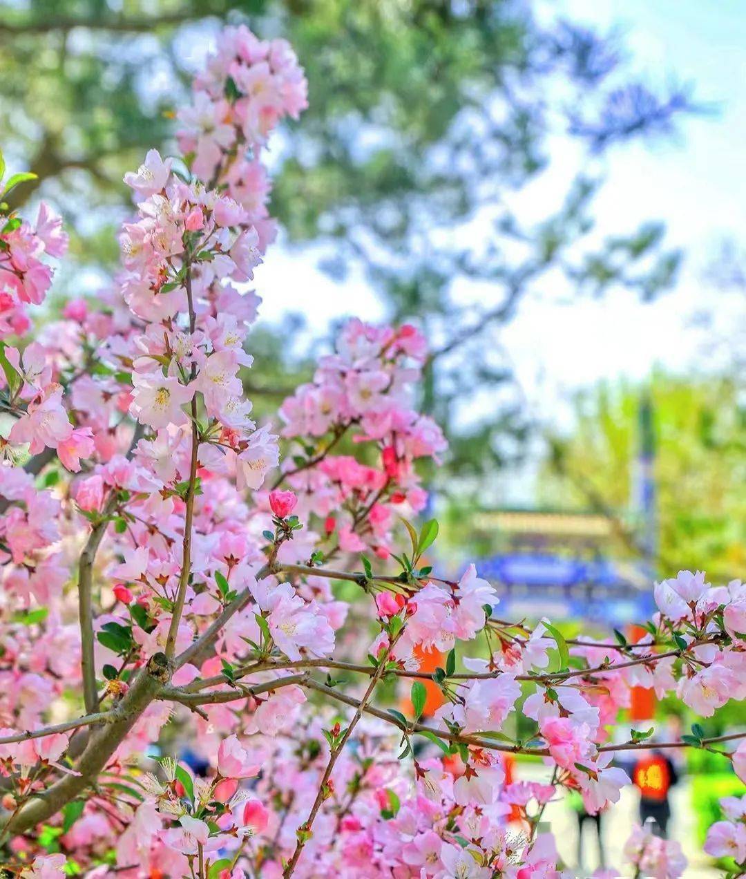 ���չ��ԣ�ʲô����˵TA ���һ����ۣ�