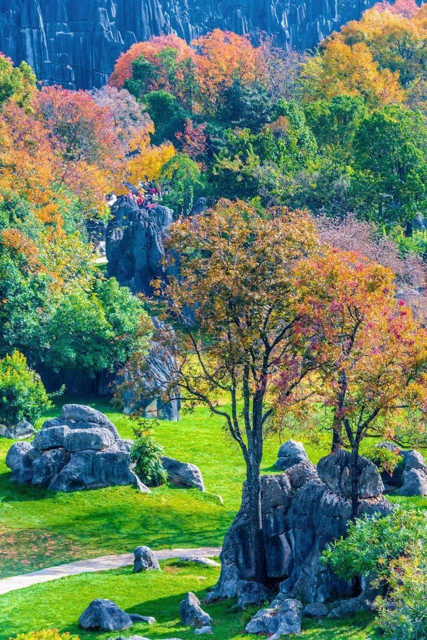 享玩儿 | 一年四时泡在花海里的城市，喜好鲜花必然不要错过