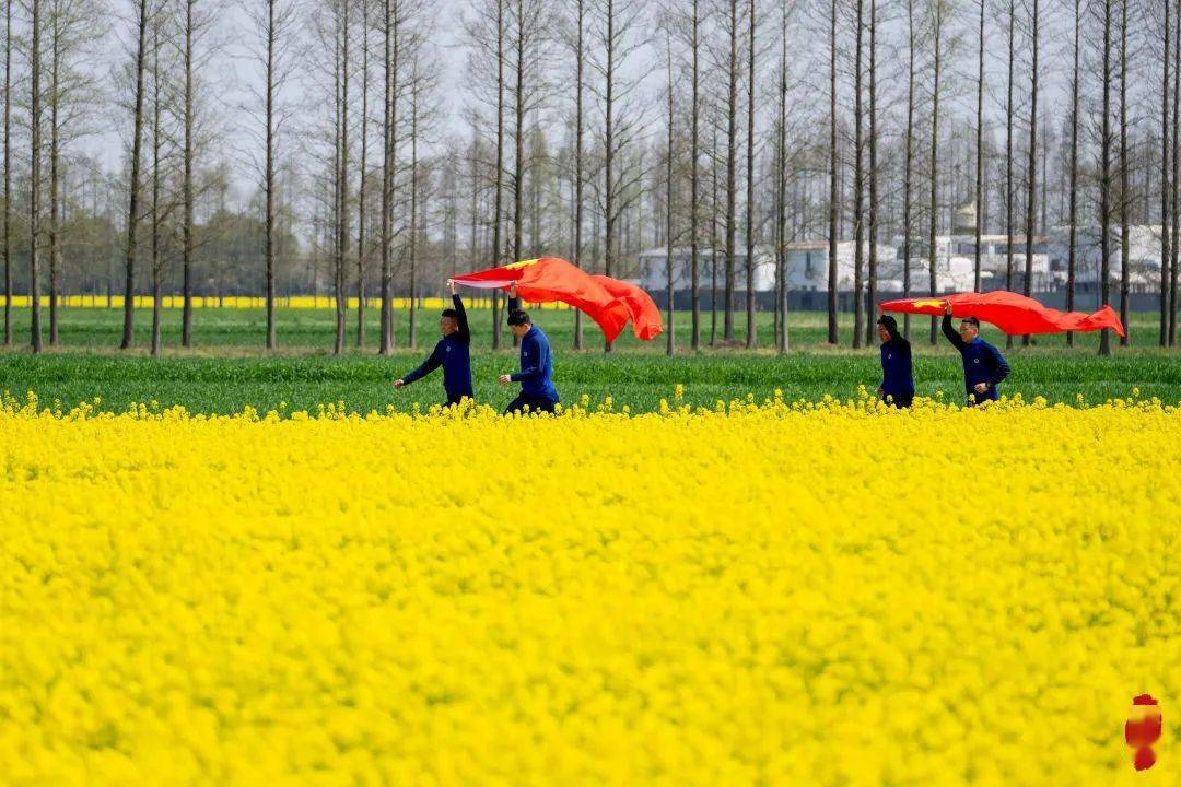 滴滴嘟嘟！“崇明花花巴士”发车啦