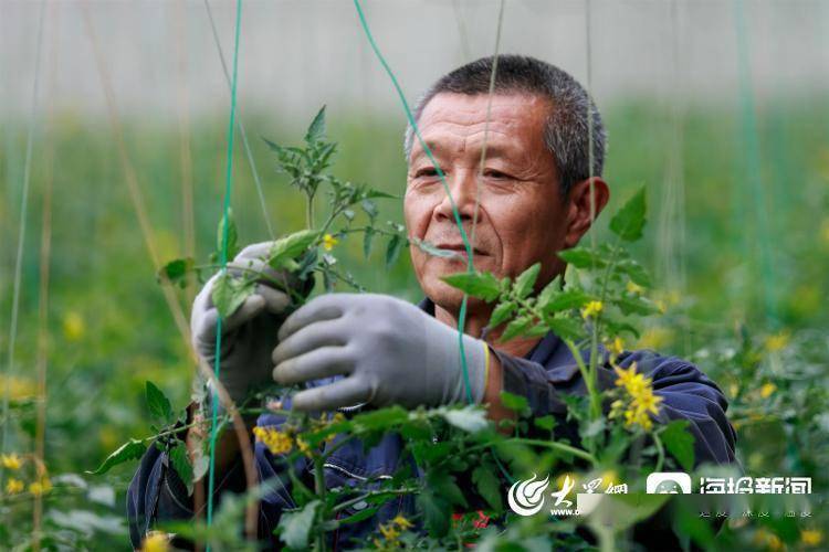 视觉山东丨群众视觉影像库一周图片精选（4月3日-4月9日）