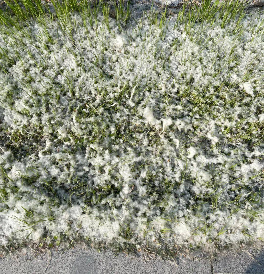 警报拉响！淮安暴雪