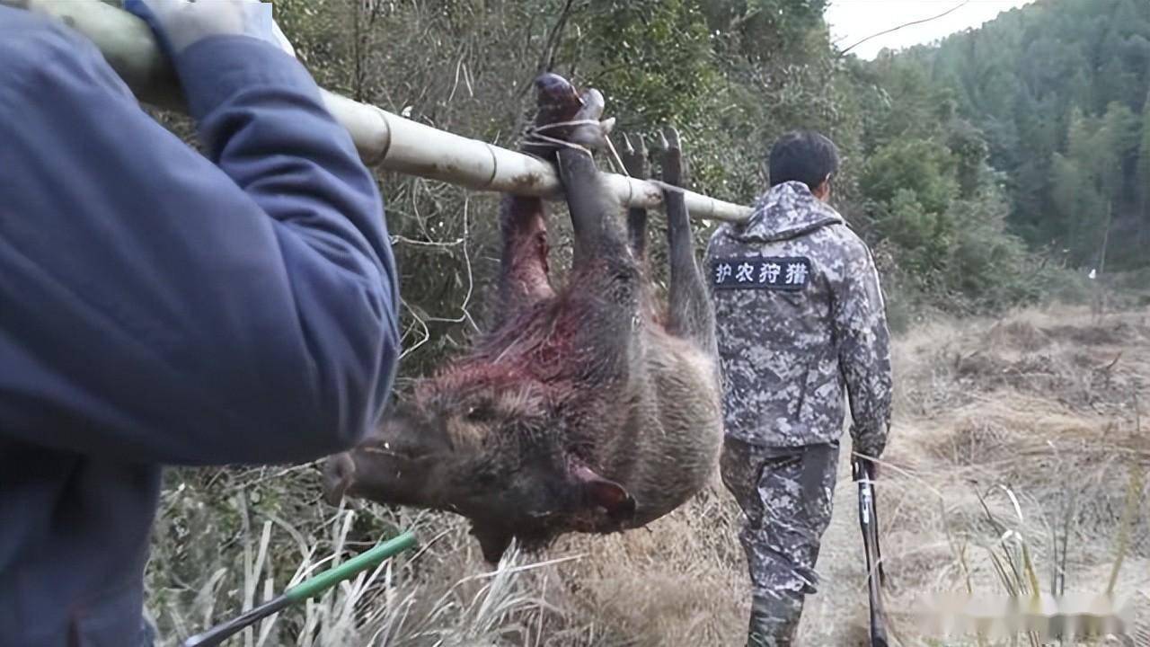 江西上饶一须眉夜间垂钓遭遇不测，被人误认成“野猪”猎杀