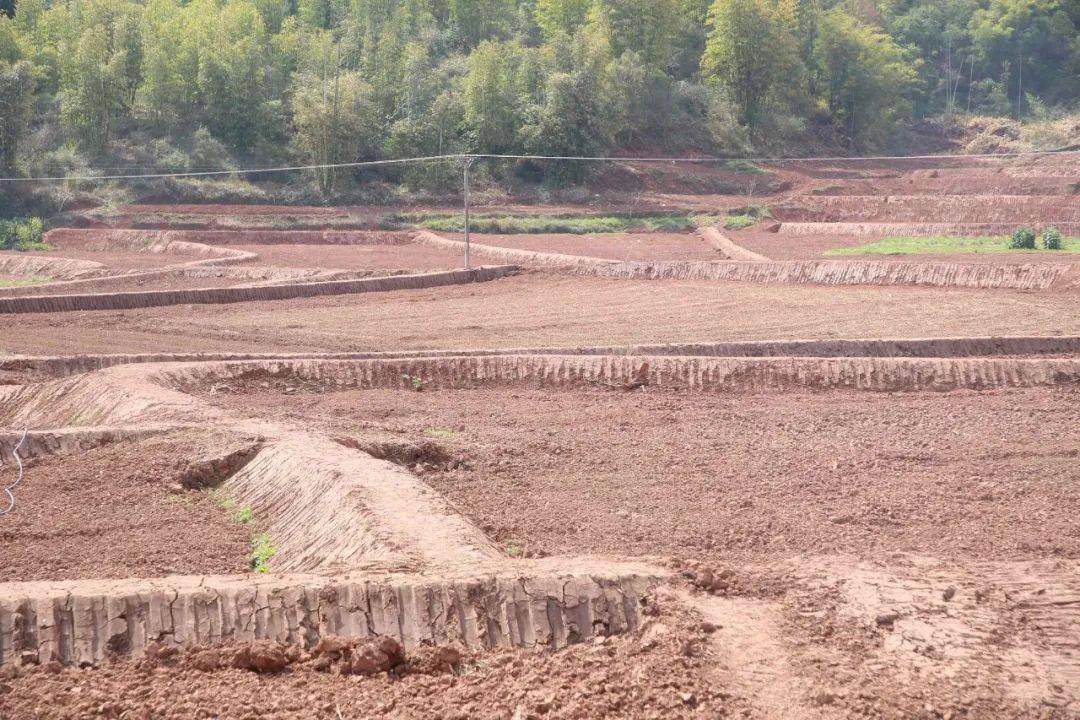 大足区近五年实施农村土地整治2475万亩