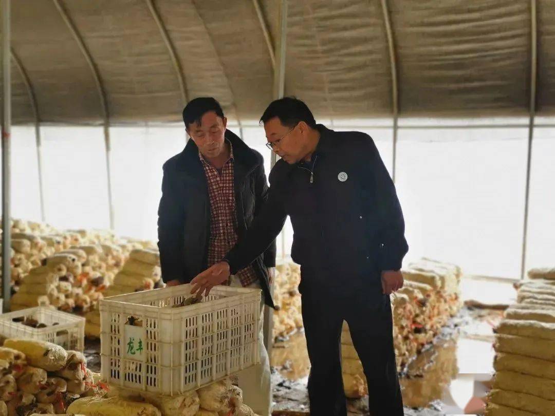 优秀人才风采录 县食用菌产业服务中心高级农艺师J9九游会 九游会J9王运杰(图1)