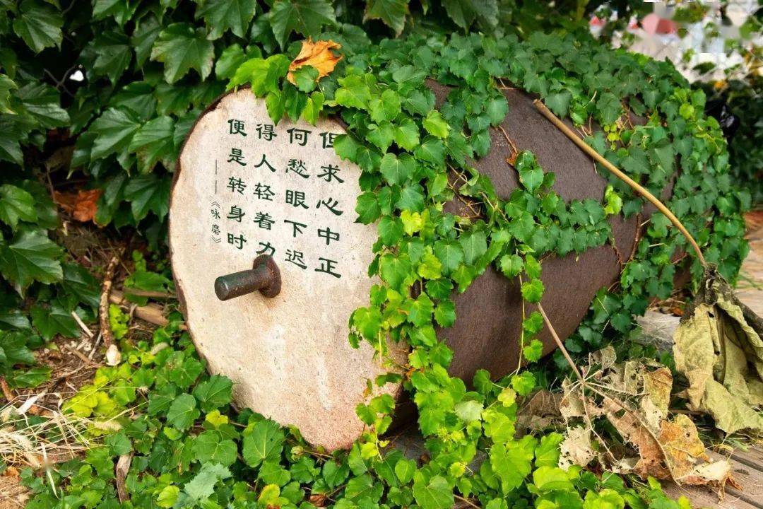 文章配图-3