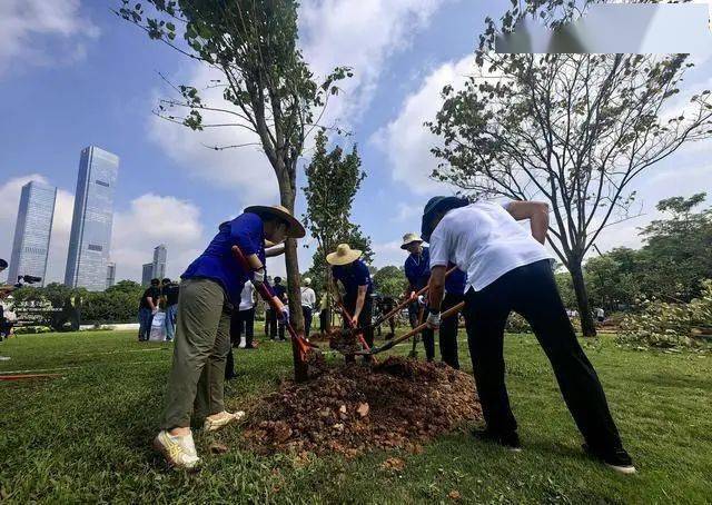完美电竞深圳计划五年增种各类树木100万株以上(图4)