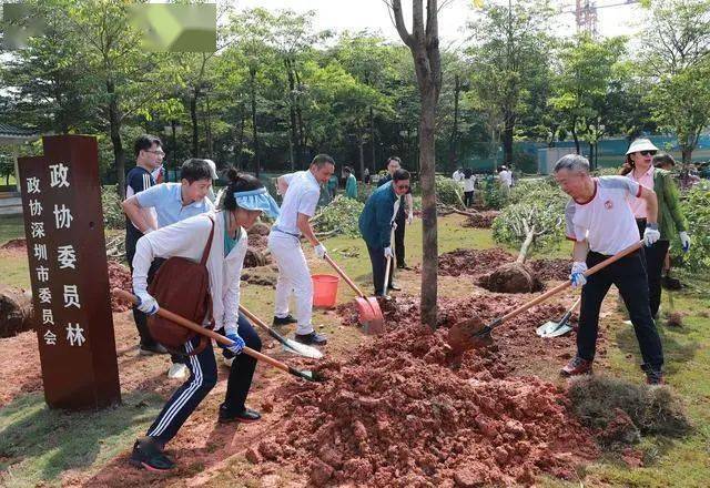 完美电竞深圳计划五年增种各类树木100万株以上(图2)