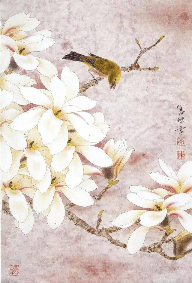 玉兰花的工笔和写意画法，收藏学习！