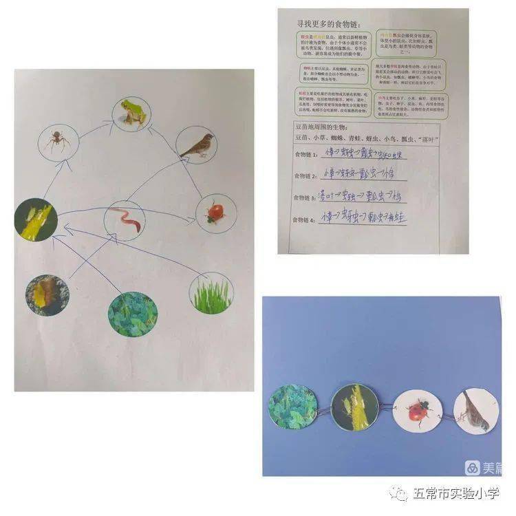 【实小科研】指向深度米乐 M6米乐学习的有效教学策略研究——科学组变式教学促进深度学习策略的研究报道(图10)
