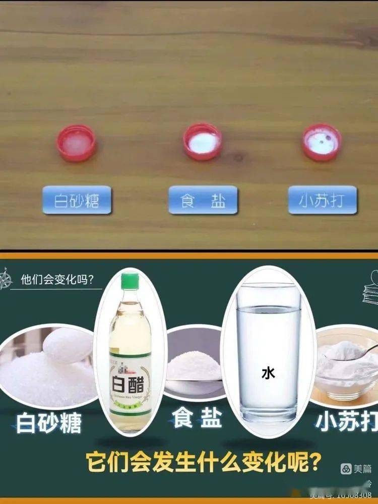 【实小科研】指向深度米乐 M6米乐学习的有效教学策略研究——科学组变式教学促进深度学习策略的研究报道(图12)