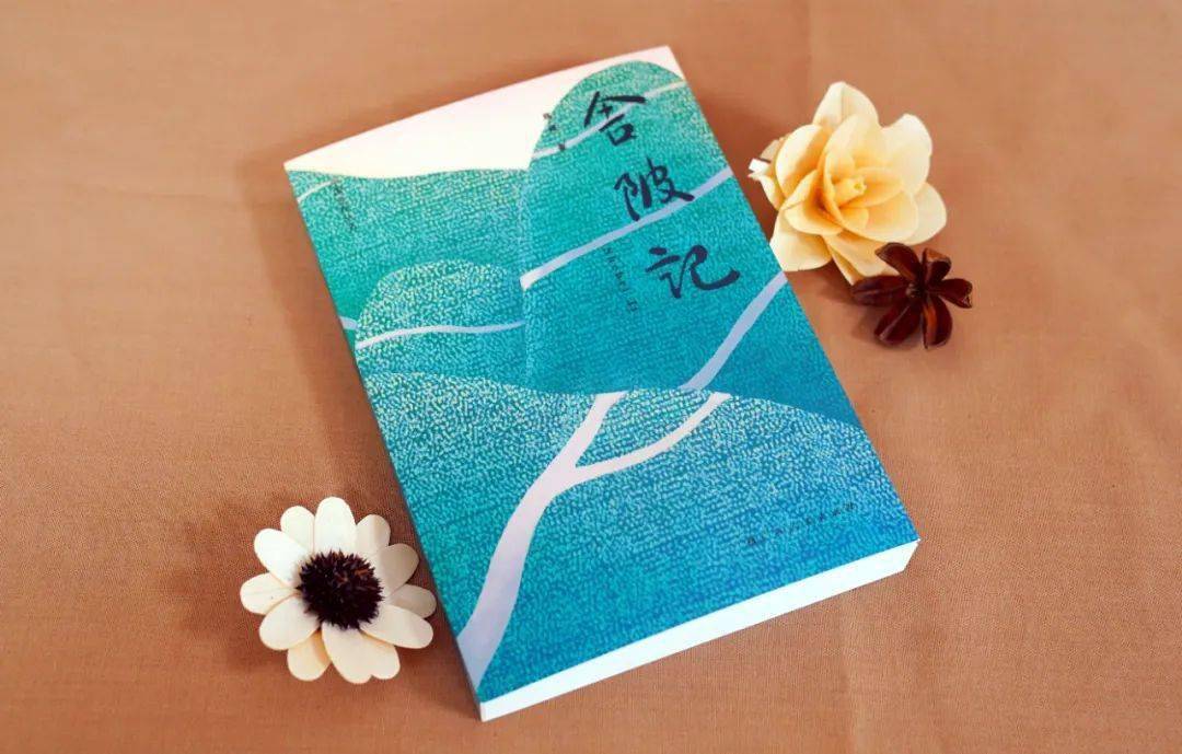 广西人民出版社新书上市 | “中国乡存丛书”第七部《舍陂记》出版！呈现又一乡村文化的活态样本