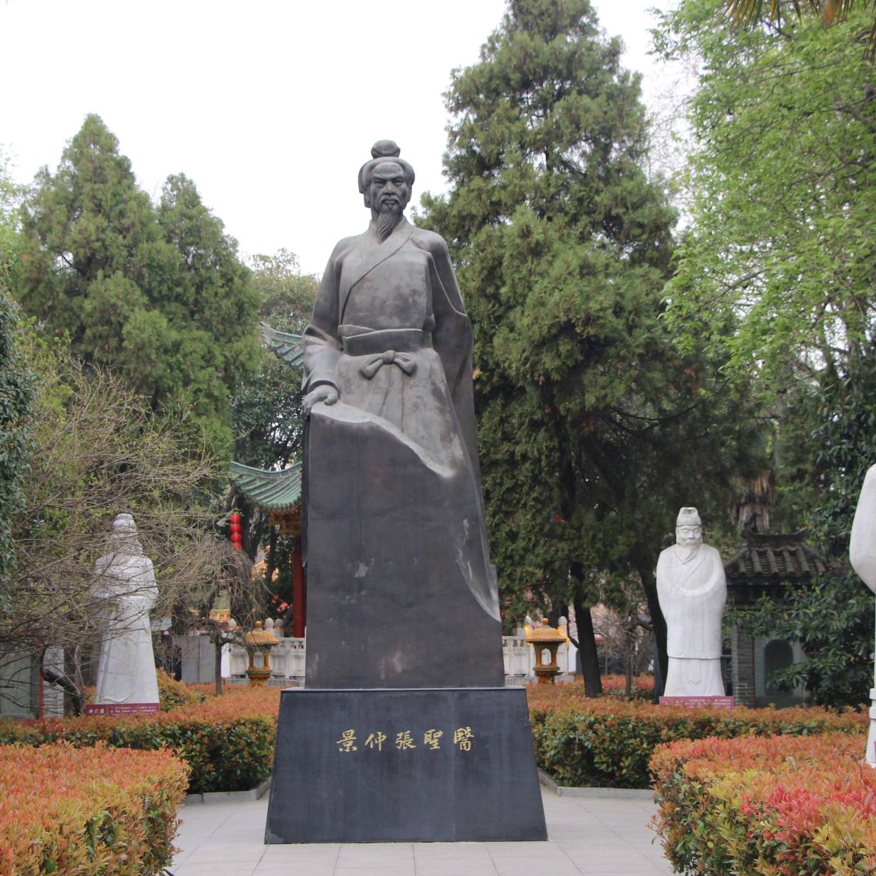 话说南阳中医
