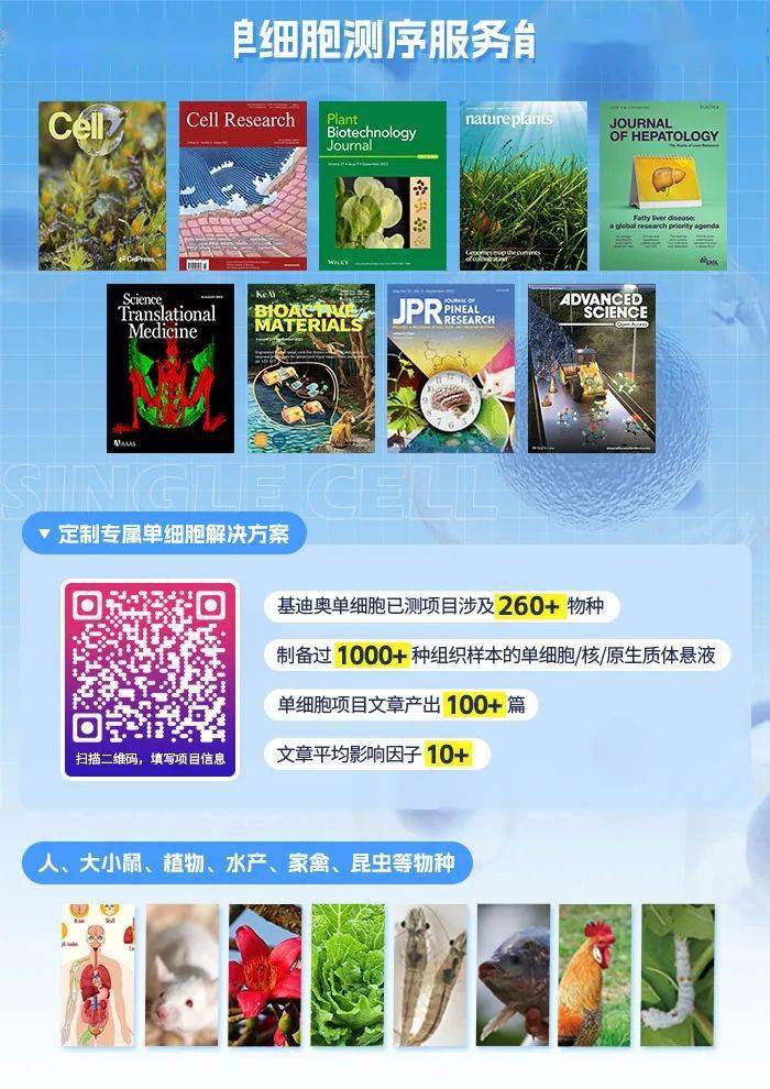 转录组多组学|基迪奥“转录组+代谢组”精准锁定关键代谢通路和关键调控基因