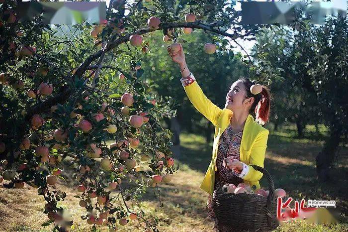 双节游河北 25条休闲农业精品线路带你邂逅“醉”美秋天开云APP 开云官网入口(图4)