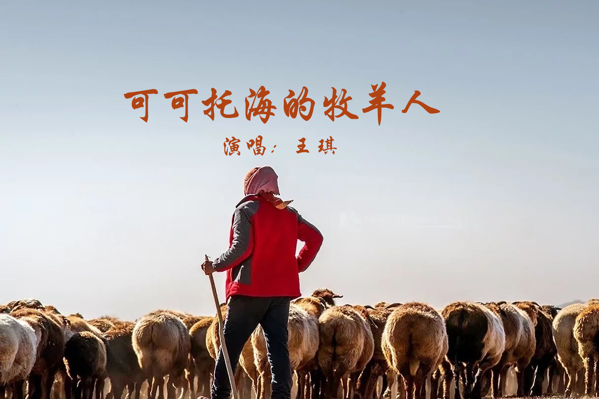 火遍全网的神曲可可托海的牧羊人