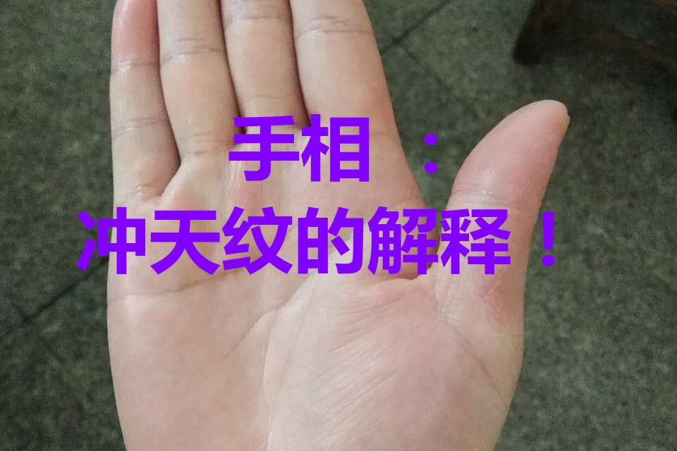手相冲天纹的解释86