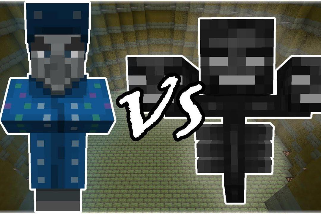 我的世界mc动画幻术师与凋零之战