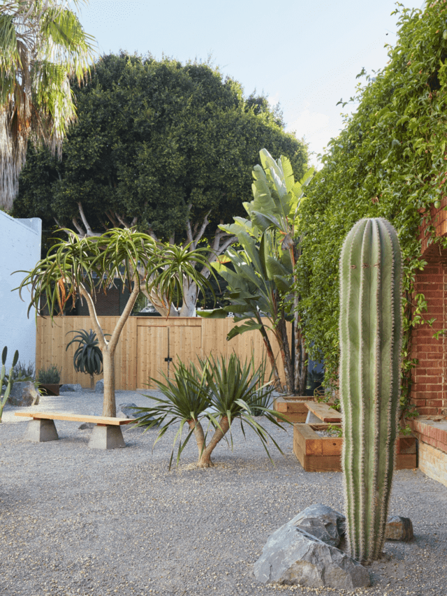 11个令人羡慕的沙漠花园设计理念