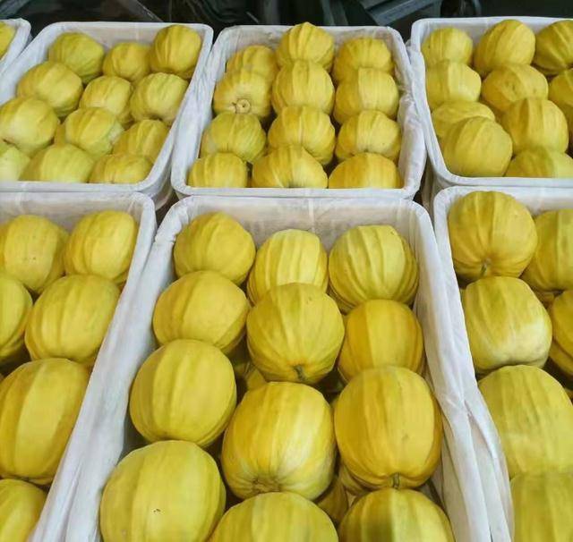 阿梦聊动漫的个人展示页