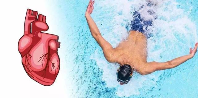游泳者心脏vs跑步者心脏,谁的更强大