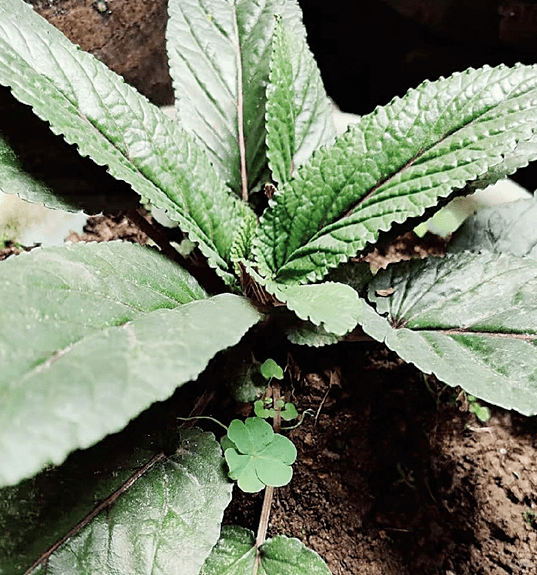 永康生活网的个人展示页