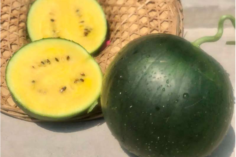 果蔬人的个人展示页