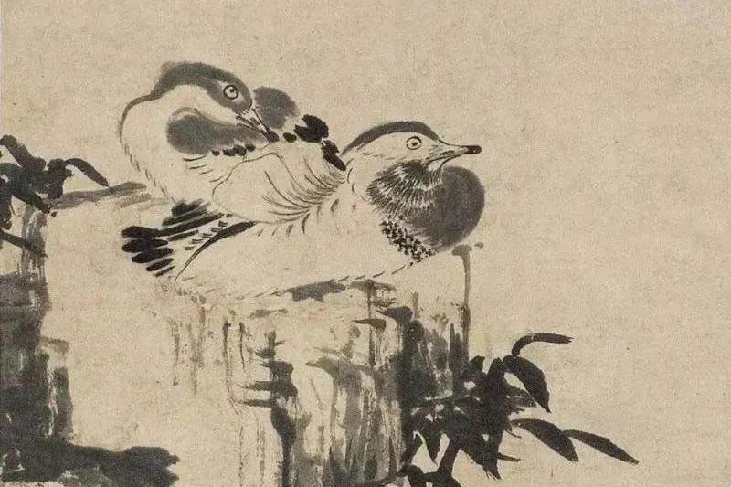 八大山人 鴛鴦 File:八大山人竹石鸳鸯.jpg - Wikimedia Commons