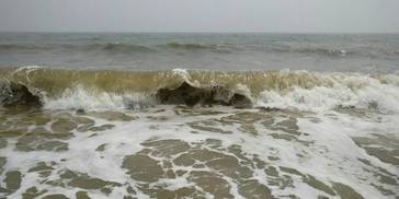 熬过2周，四大生肖有钱有底气，财富滚滚，命里财旺