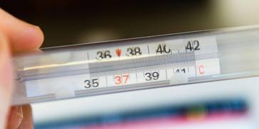 今冬流感病毒以甲型H3N2为主，居家护理做好六点