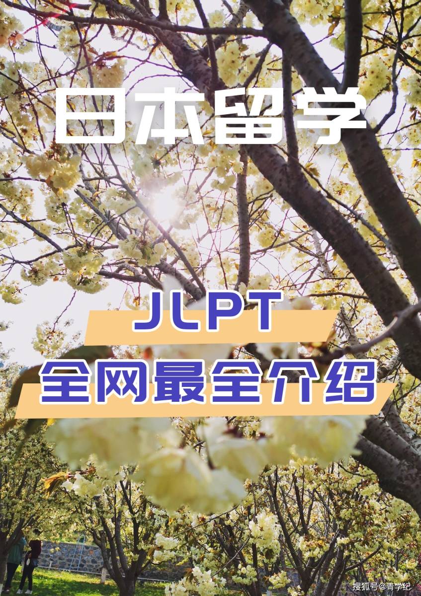 JLPT全网最全介绍-搜狐大视野-搜狐新闻