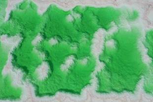 柴达木盆地翡翠湖如碎玉散落戈壁