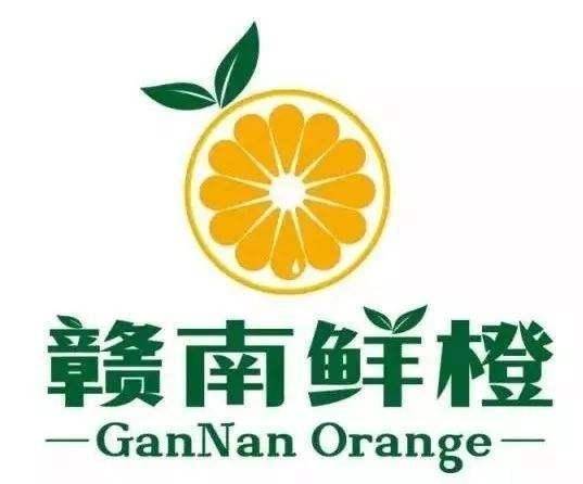 中国品牌价值评价区域品牌百强产品价值评价发布会中,赣南脐橙以601