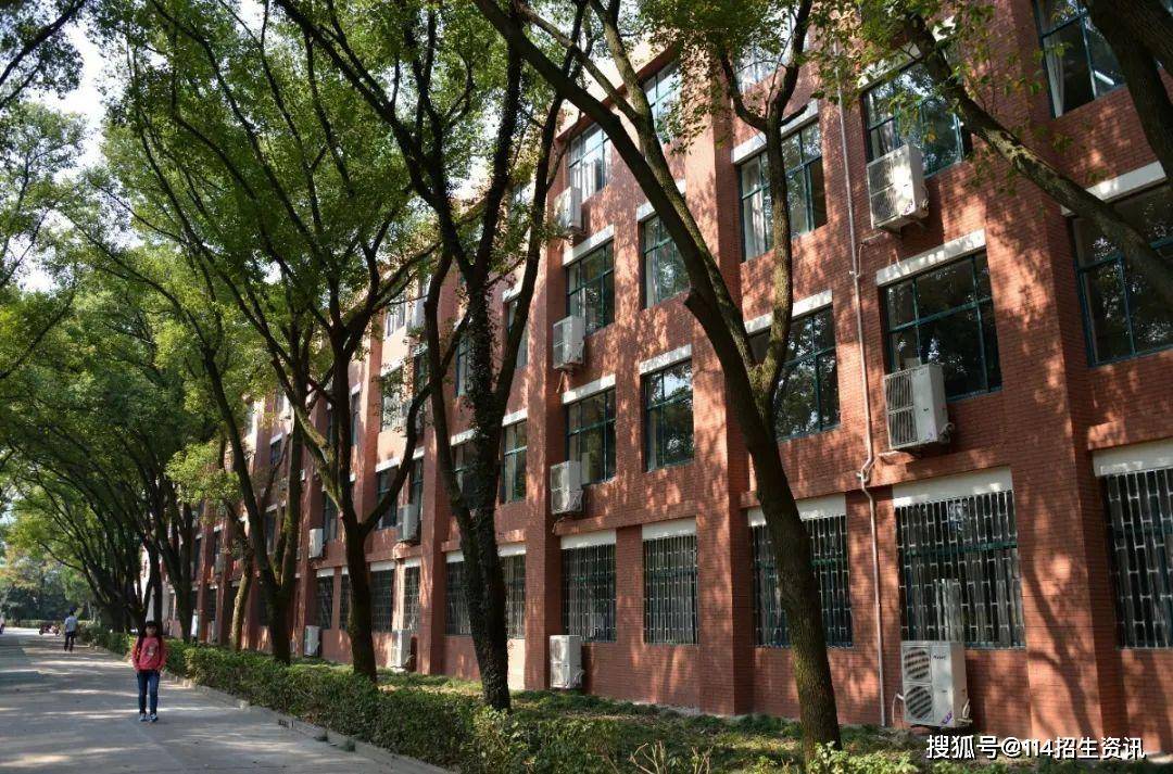 上海科学技术职业学院(上海科学技术职业学院在哪)