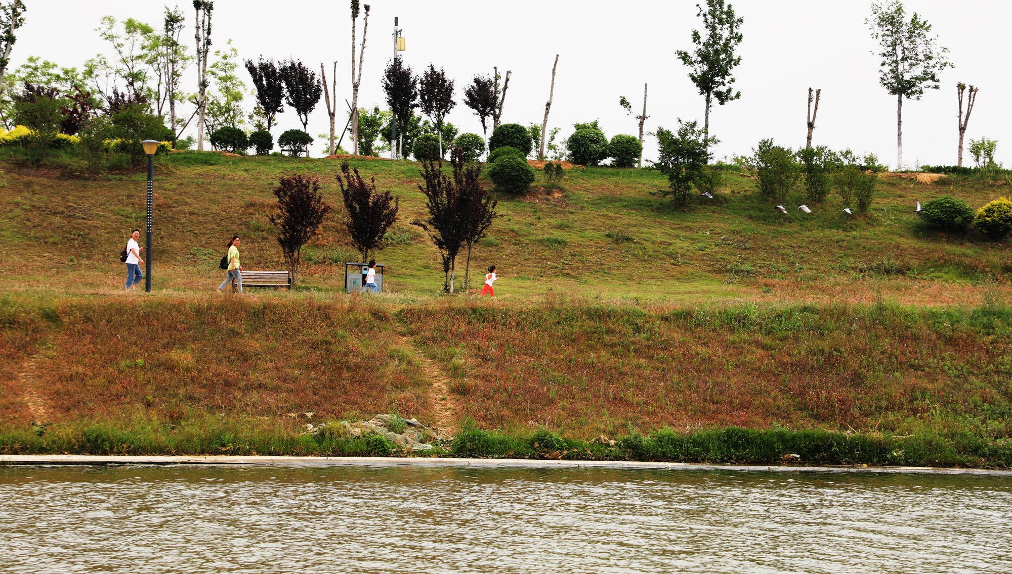 贯穿周口区域商水,西华,川汇区,港区,淮阳区,项城,沈丘区域,哺育着