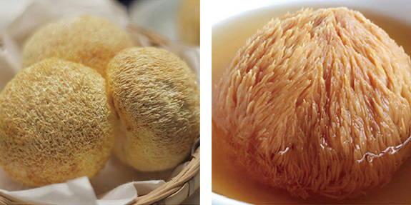 我家礼品每日分享-"胃爱而生"猴头菇_手机搜狐网