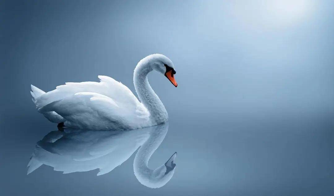 从丑小鸭到白天鹅一位多囊卵巢综合征女孩的完美蜕变