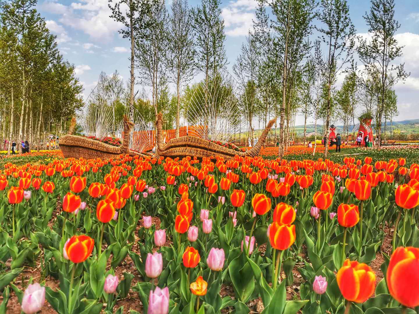 的天使们如洁白的郁金香一样圣洁,您用实际行动诠释了最美逆行者精神