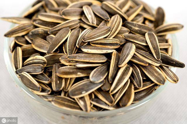 生葵花籽的功效与作用 生葵花籽的禁忌人群 正解