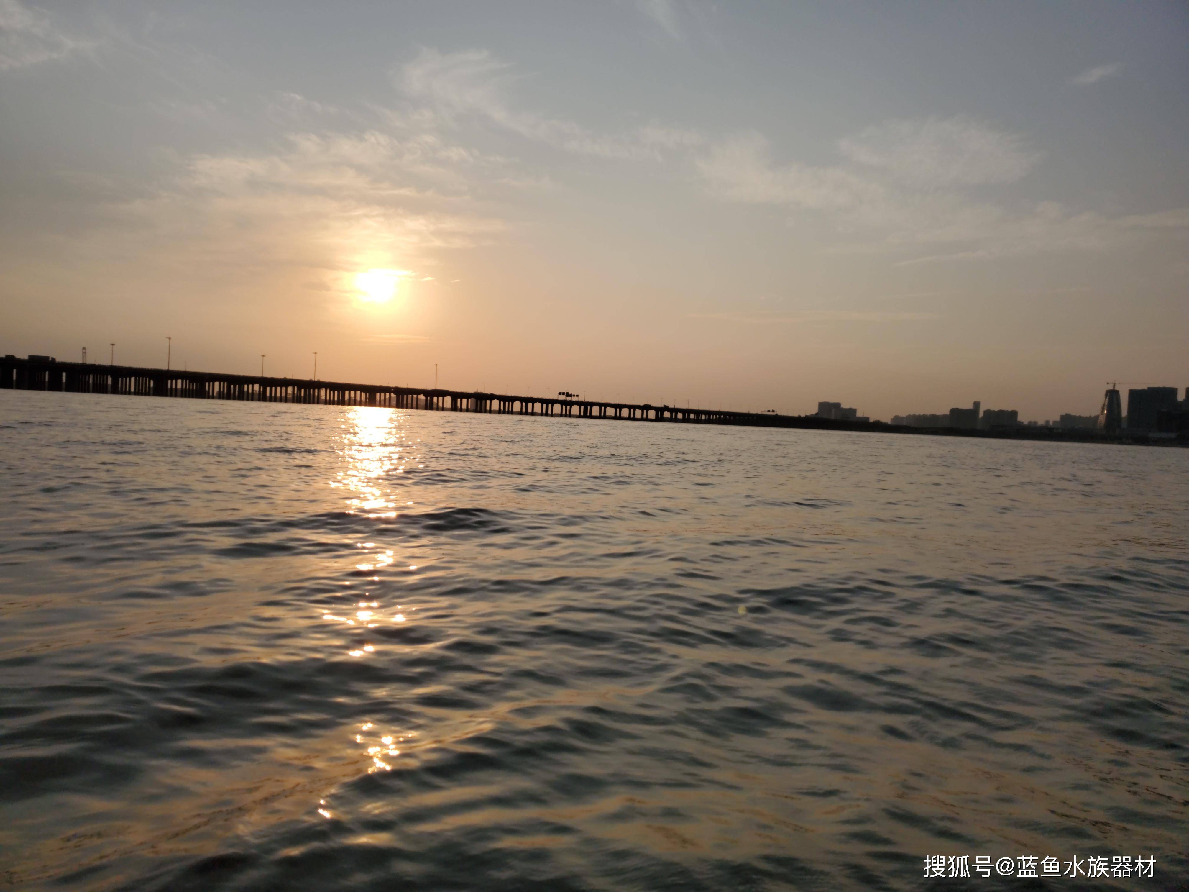 朋友都以為我去了某個海灘旅遊度假,這個公園就是前海石公園