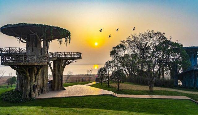 智慧旅游小助攻鄱阳湖吴城候鸟小镇智慧景区上线啦