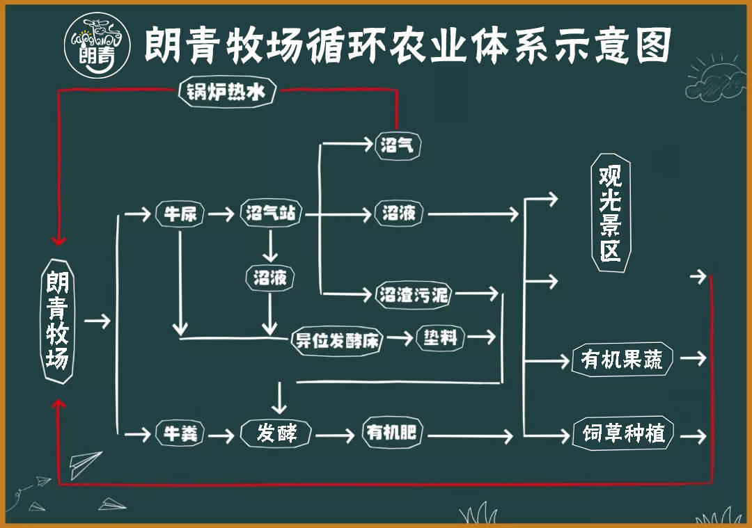 從牧場到餐桌生態循環農業的踐行者新疆朗青牧場