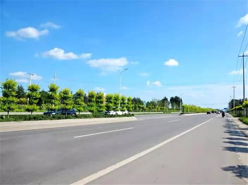 允许分包!辛集市通武线至邢台界部分路段修复养护工程招标