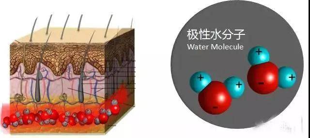 直接聚焦于皮下筋膜层,通过快速交变的电磁场使筋膜层内极性水分子